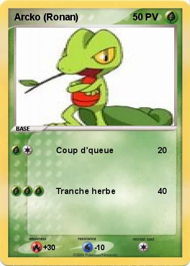 Pokemon Arcko (Ronan)
