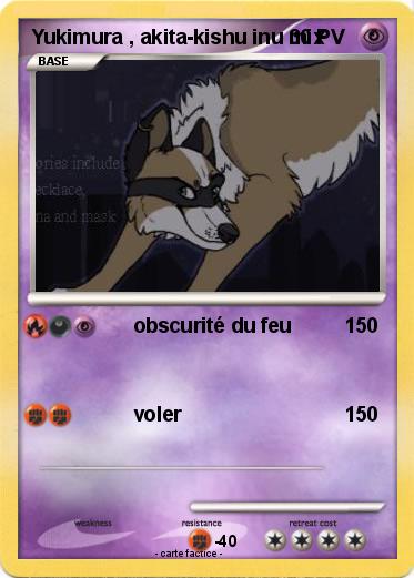 Pokemon Yukimura , akita-kishu inu mix