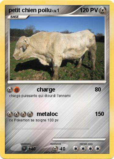 Pokemon petit chien poilu