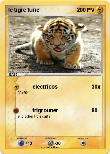 Pokemon le tigre furie