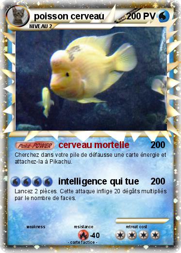 Pokemon poisson cerveau