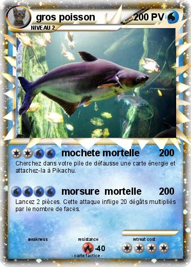 Pokemon gros poisson