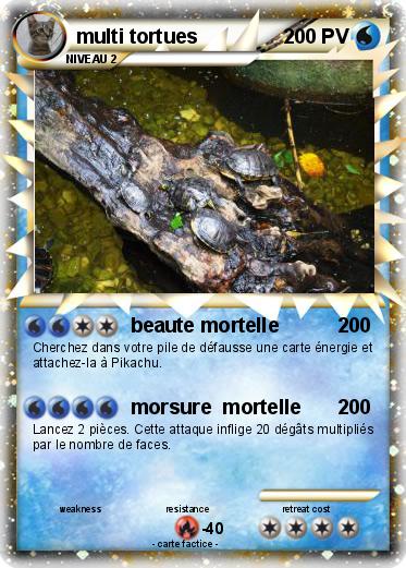 Pokemon multi tortues