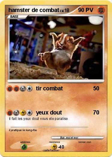 Pokemon hamster de combat