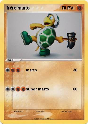 Pokemon frère marto 