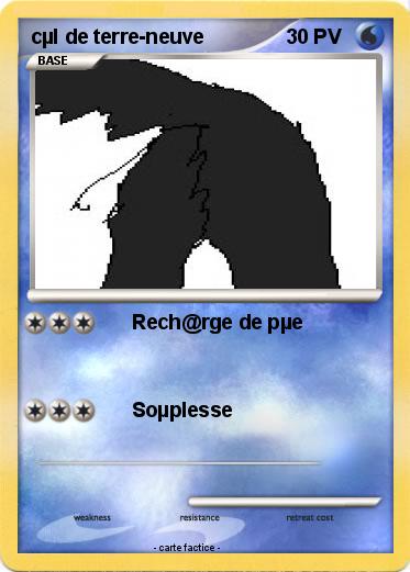 Pokemon cµl de terre-neuve