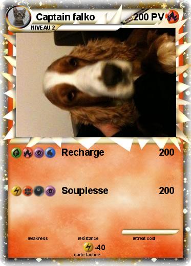 Pokemon Captain falko