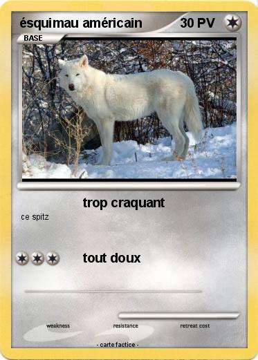 Pokemon ésquimau américain