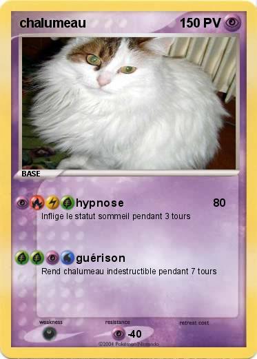 Pokemon chalumeau