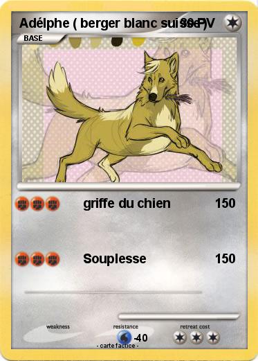 Pokemon Adélphe ( berger blanc suisse )