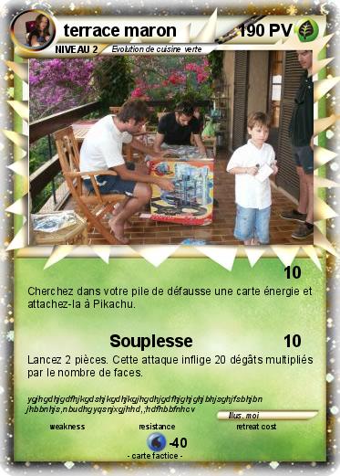 Pokemon terrace maron