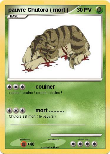 Pokemon pauvre Chutora ( mort )