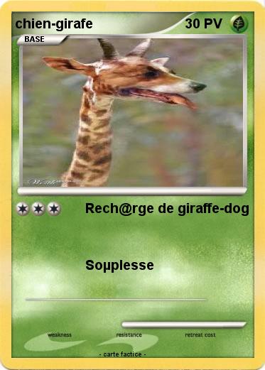 Pokemon chien-girafe