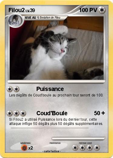 Pokemon Filou2