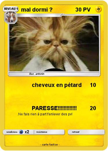Pokemon mal dormi ?