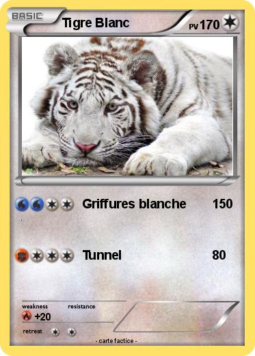 Pokemon Tigre Blanc