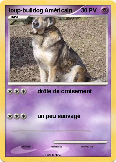 Pokemon loup-bulldog Américain