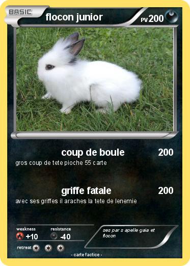 Pokemon flocon junior
