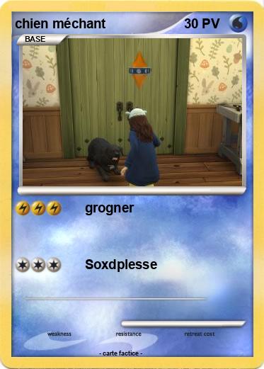 Pokemon chien méchant