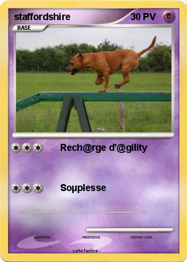 Pokemon staffordshire