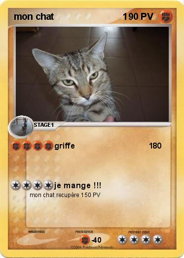 Pokemon mon chat                           1