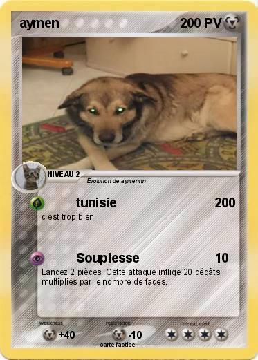 Pokemon aymen