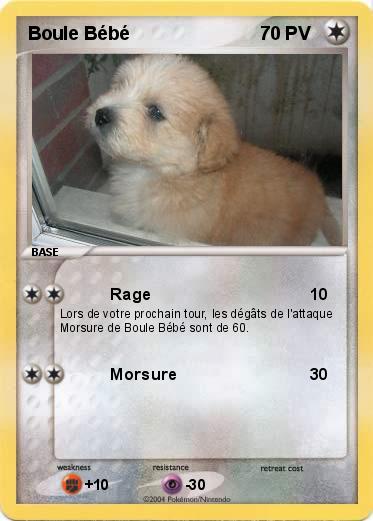 Pokemon Boule Bébé