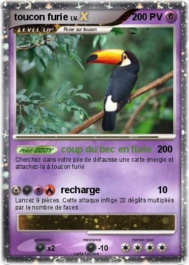 Pokemon toucon furie