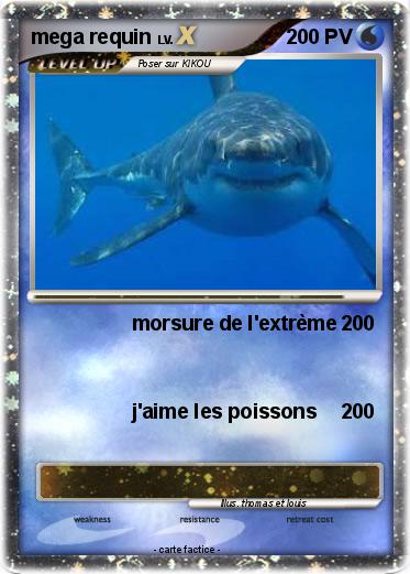 Pokemon mega requin