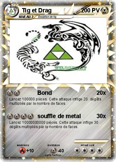 Pokemon Tig et Drag