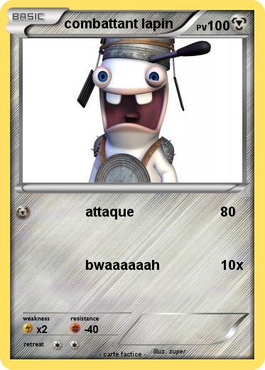 Pokemon combattant lapin