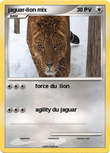 Pokemon jaguar-lion mix