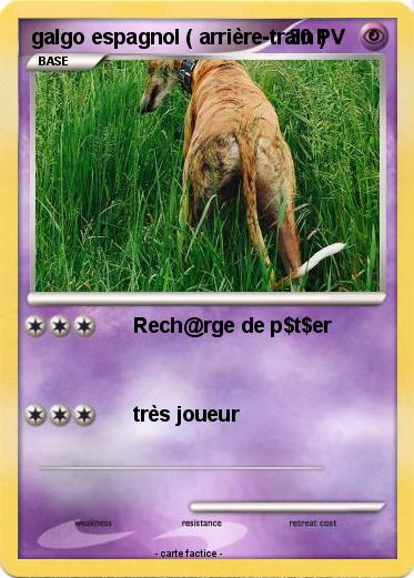 Pokemon galgo espagnol ( arrière-train )
