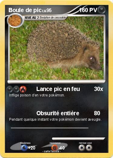 Pokemon Boule de pic