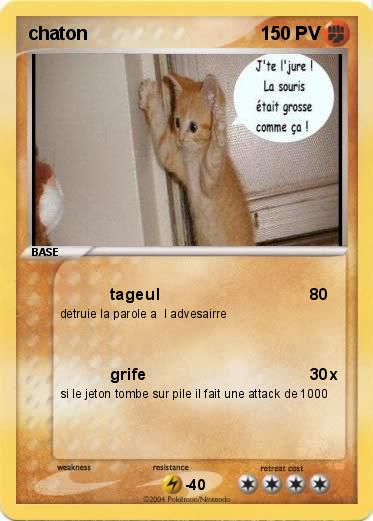 Pokemon chaton