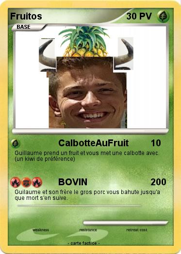 Pokemon Fruitos