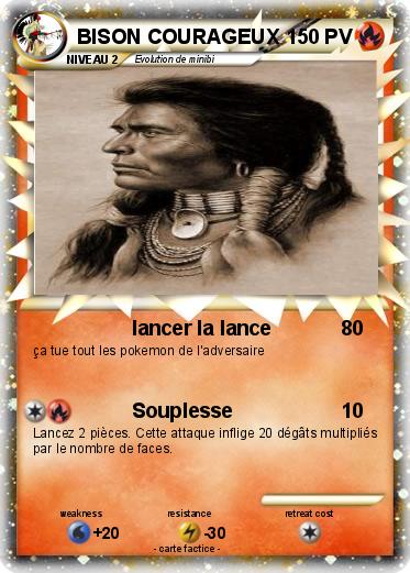 Pokemon BISON COURAGEUX