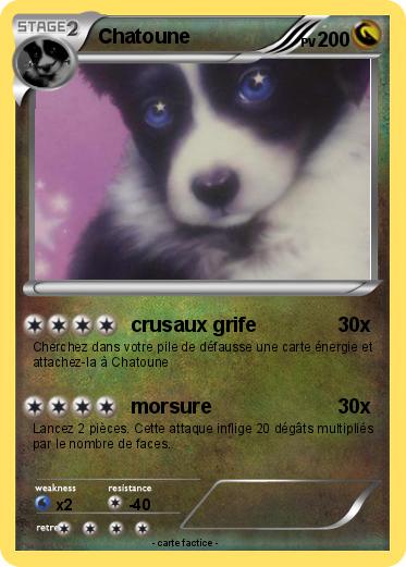 Pokemon Chatoune