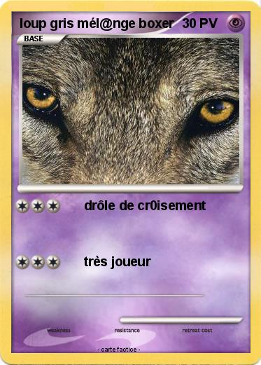 Pokemon loup gris mél@nge boxer