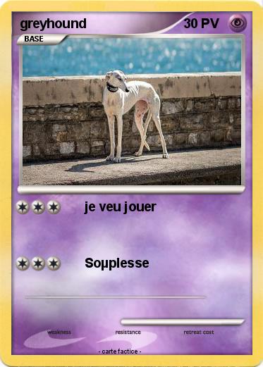 Pokemon greyhound