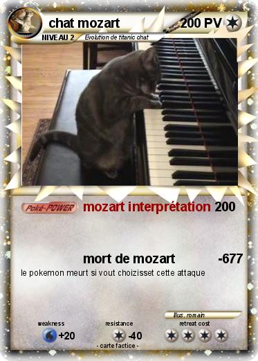 Pokemon chat mozart