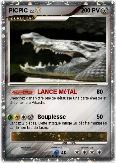 Pokemon PICPIC