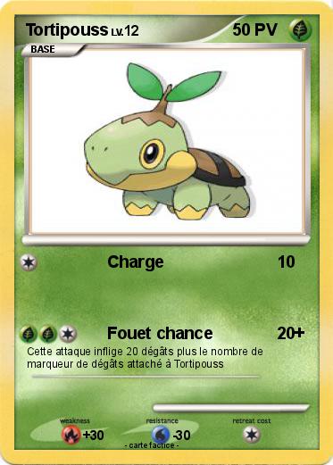 Pokemon Tortipouss