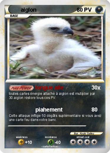 Pokemon aiglon