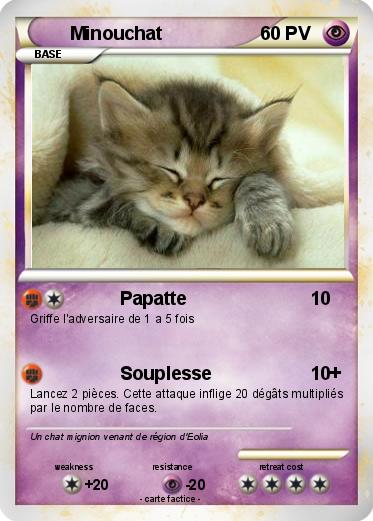 Pokemon Minouchat