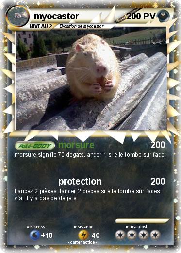 Pokemon myocastor