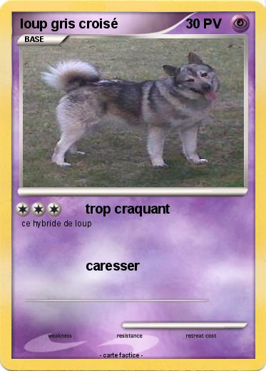Pokemon loup gris croisé