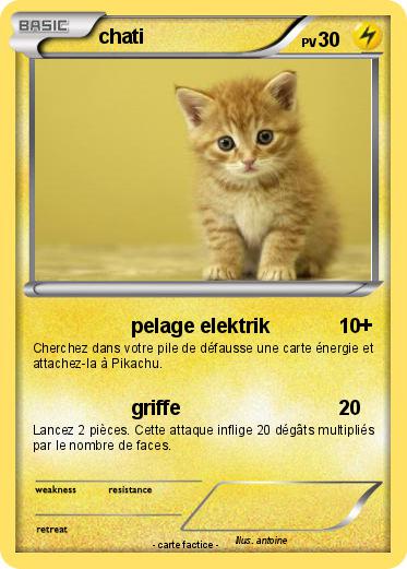 Pokemon chati
