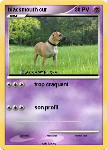 Pokemon blackmouth cur
