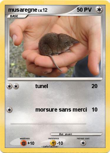 Pokemon musaregne